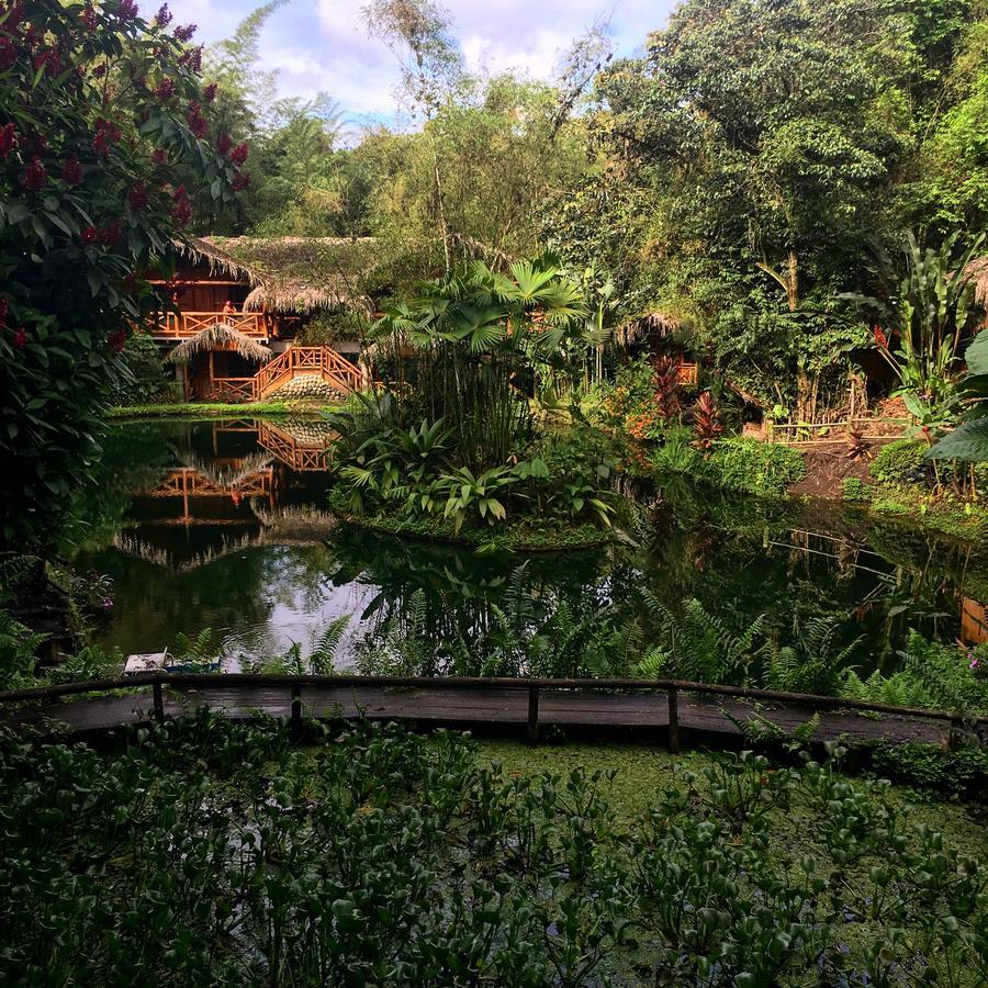 Mindo Lago Hotel Destino Exterior foto